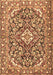 Machine Washable Medallion Brown Traditional Rug, wshtr2997brn