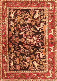 Animal Orange Traditional Rug, tr3000org