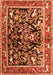 Animal Orange Traditional Rug, tr3000org