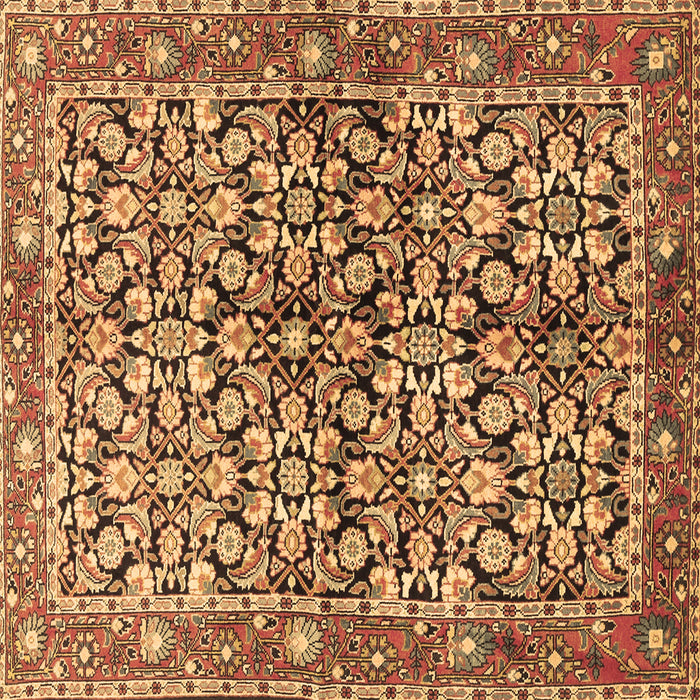 Square Persian Brown Traditional Rug, tr3003brn