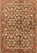 Machine Washable Persian Brown Traditional Rug, wshtr3003brn