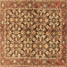 Square Machine Washable Persian Brown Traditional Rug, wshtr3003brn