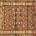 Square Persian Brown Traditional Rug, tr3004brn