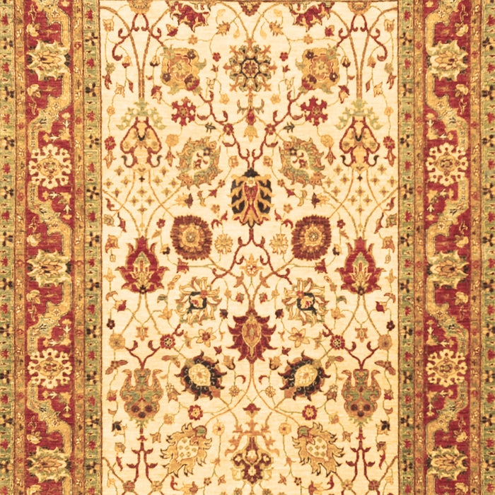 Oriental Brown Traditional Rug, tr3006brn
