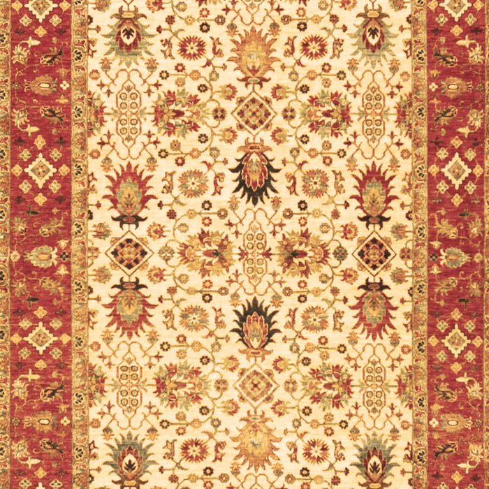 Oriental Brown Traditional Rug, tr3007brn
