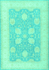 Oriental Turquoise Traditional Rug, tr3009turq