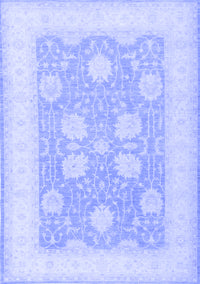 Oriental Blue Traditional Rug, tr3009blu