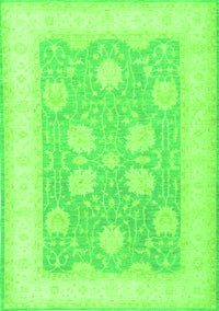 Oriental Green Traditional Rug, tr3009grn