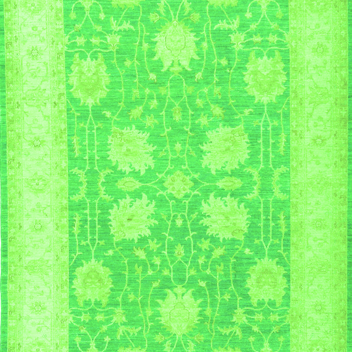 Oriental Green Traditional Rug, tr3009grn