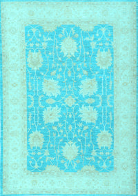 Oriental Light Blue Traditional Rug, tr3009lblu