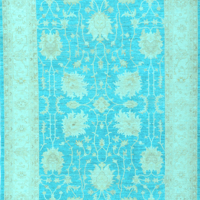 Oriental Light Blue Traditional Rug, tr3009lblu