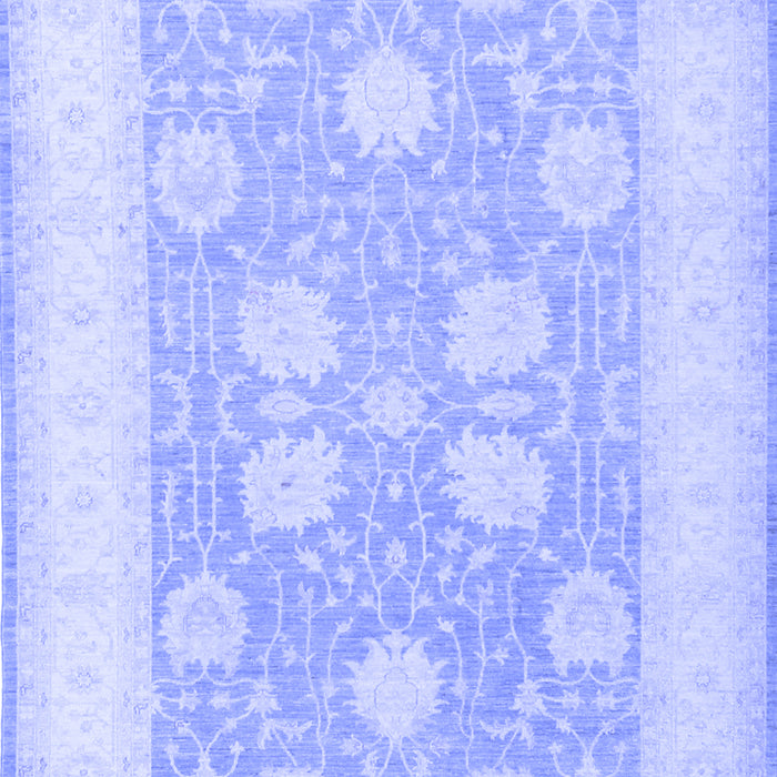 Oriental Blue Traditional Rug, tr3009blu