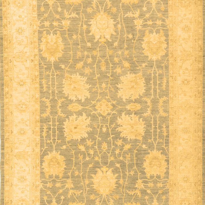 Oriental Brown Traditional Rug, tr3009brn