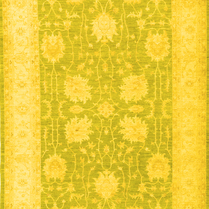 Oriental Yellow Traditional Rug, tr3009yw