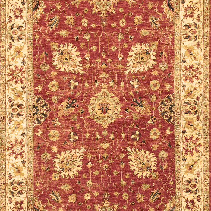 Oriental Brown Traditional Rug, tr3012brn