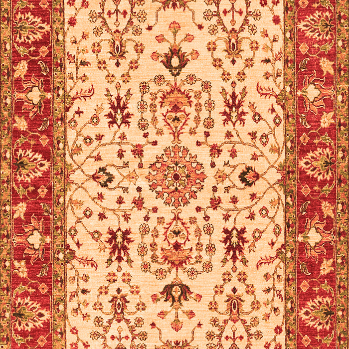Persian Orange Traditional Rug, tr3013org