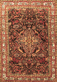 Persian Brown Traditional Rug, tr301brn