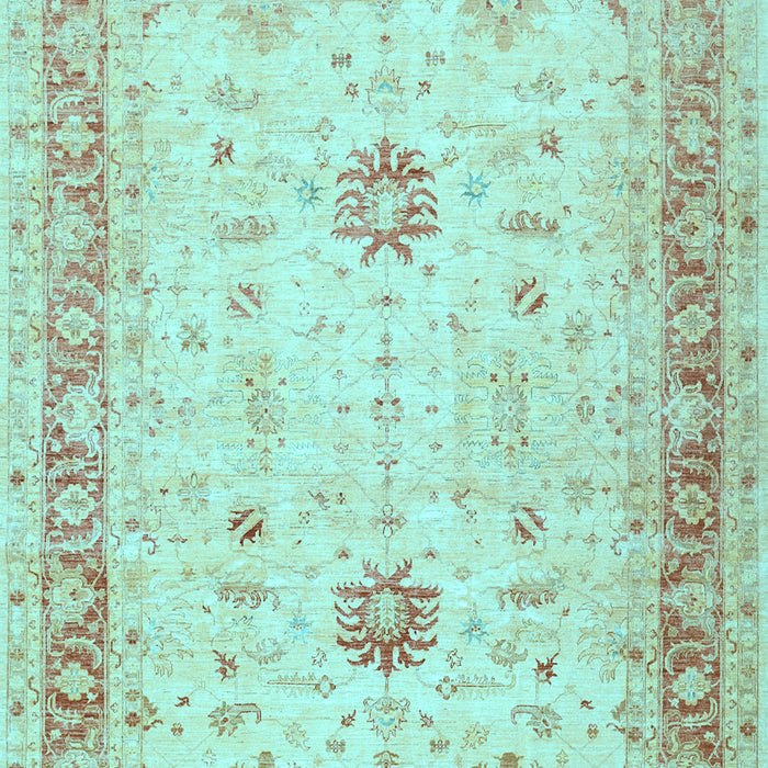 Oriental Light Blue Traditional Rug, tr3020lblu