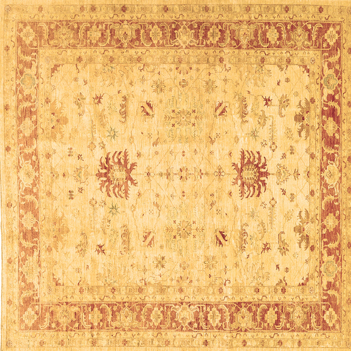 Square Oriental Brown Traditional Rug, tr3020brn
