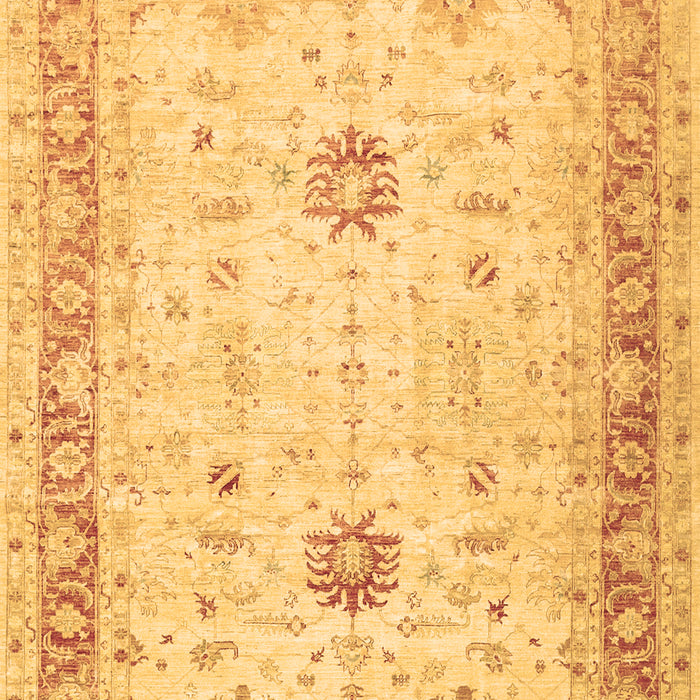 Oriental Brown Traditional Rug, tr3020brn