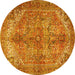 Round Persian Yellow Traditional Rug, tr3024yw