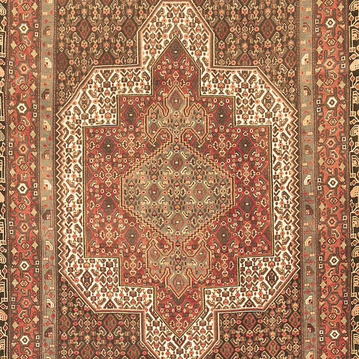 Machine Washable Medallion Brown Traditional Rug, wshtr3025brn