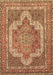 Medallion Brown Traditional Rug, tr3025brn