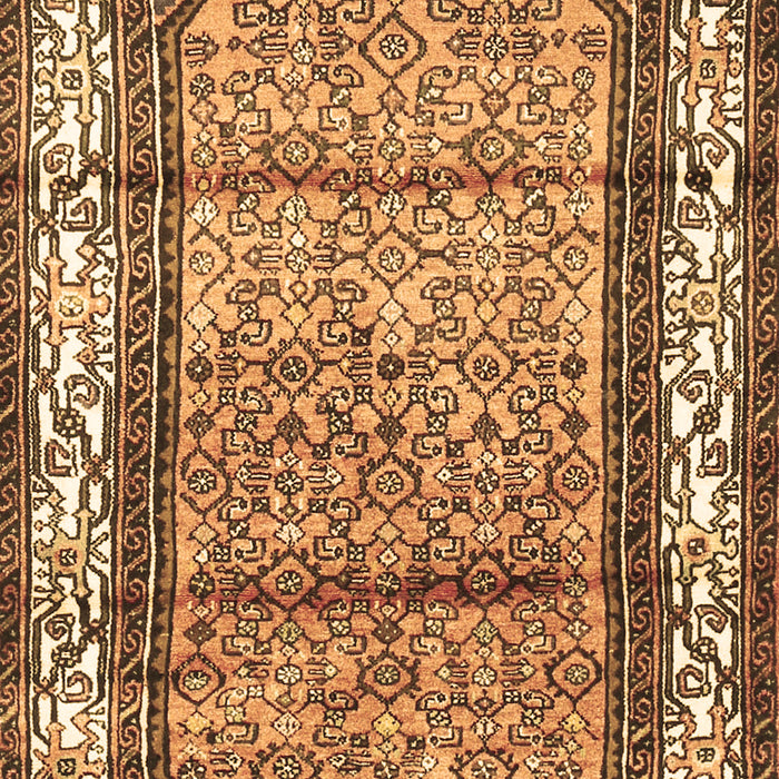Machine Washable Persian Brown Traditional Rug, wshtr3030brn