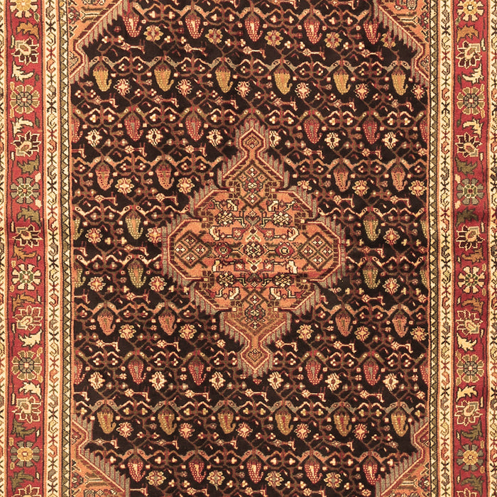 Medallion Brown Traditional Rug, tr3034brn