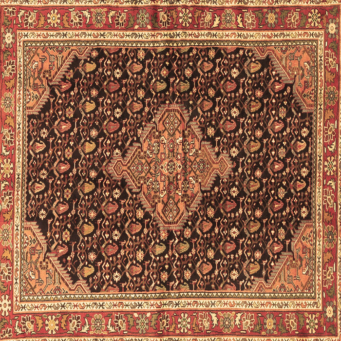 Square Medallion Brown Traditional Rug, tr3034brn