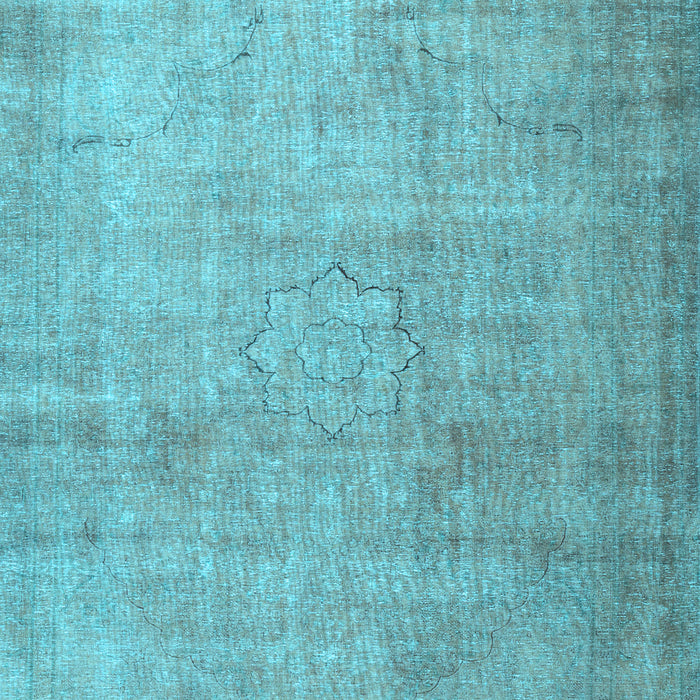 Machine Washable Persian Light Blue Traditional Rug, wshtr3036lblu