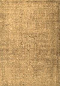 Persian Brown Traditional Rug, tr3036brn
