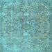 Square Persian Light Blue Traditional Rug, tr3038lblu