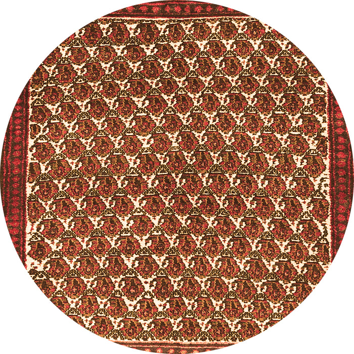 Square Persian Orange Traditional Rug, tr304org