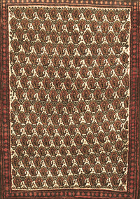 Persian Brown Traditional Rug, tr304brn