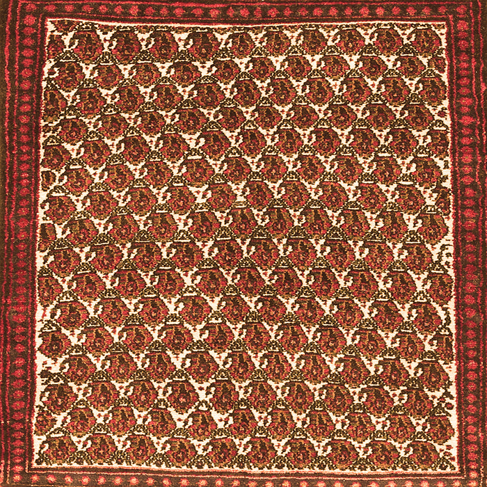 Serging Thickness of Persian Orange Traditional Rug, tr304org