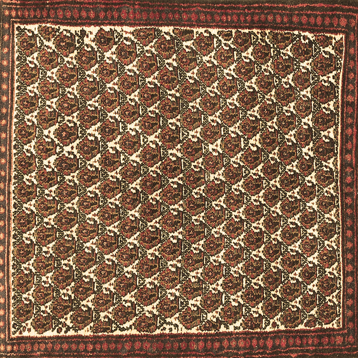 Square Machine Washable Persian Brown Traditional Rug, wshtr304brn