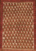 Persian Orange Traditional Rug, tr304org