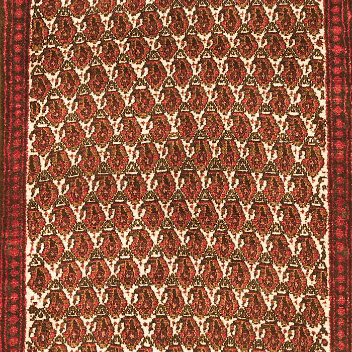 Persian Orange Traditional Rug, tr304org