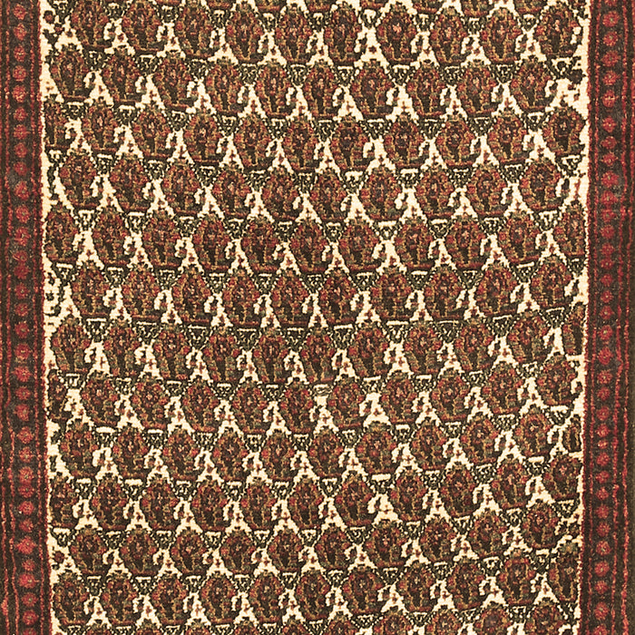 Machine Washable Persian Brown Traditional Rug, wshtr304brn