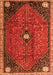 Persian Orange Traditional Rug, tr3050org