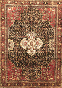 Persian Brown Traditional Rug, tr305brn