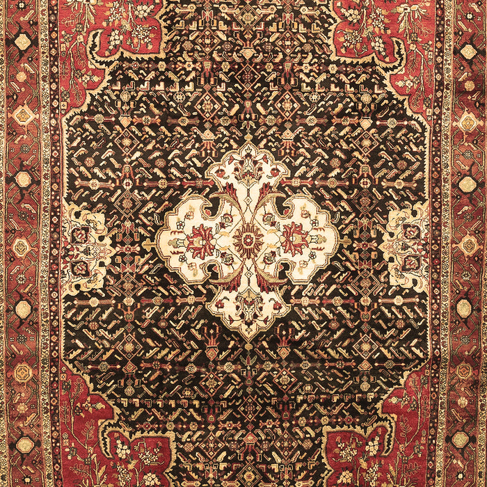 Machine Washable Persian Brown Traditional Rug, wshtr305brn