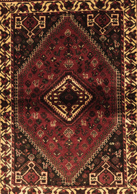 Persian Brown Traditional Rug, tr3060brn