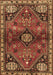 Persian Brown Traditional Rug, tr3063brn