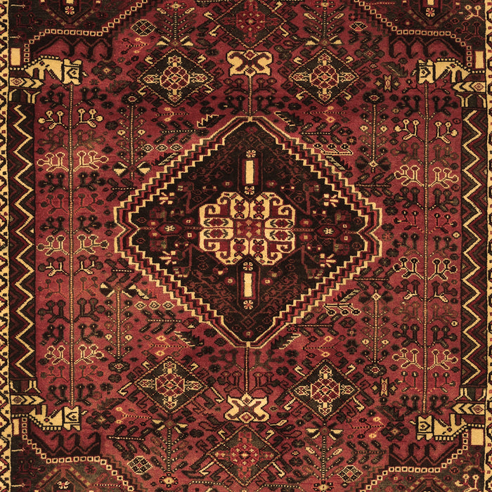 Persian Brown Traditional Rug, tr3064brn