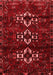 Persian Red Traditional Area Rugs