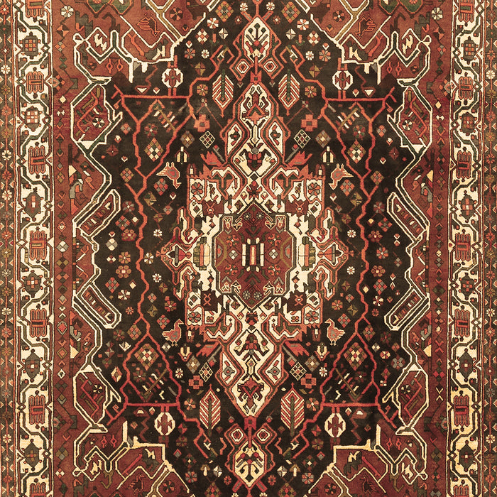 Persian Brown Traditional Rug, tr306brn