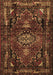 Persian Brown Traditional Rug, tr3072brn