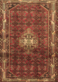 Persian Brown Traditional Rug, tr3073brn